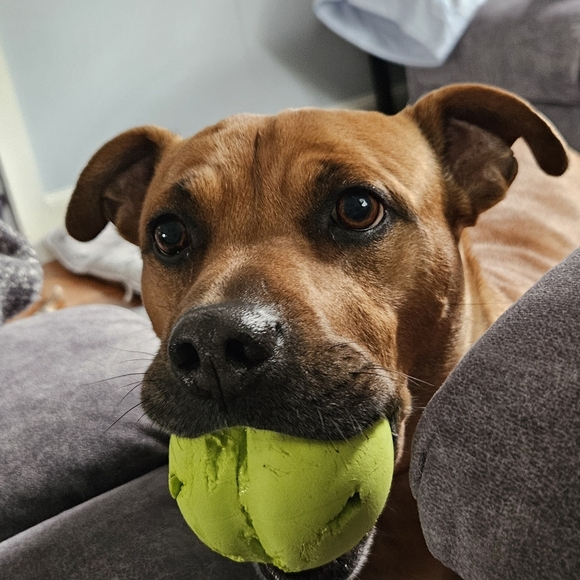 Meet your Posher! 🌻 - Picture 4 of 5